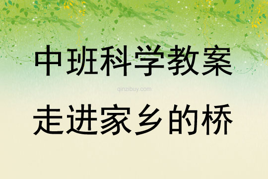 中班科學活動教案：走進家鄉的橋教案(附教學反思)