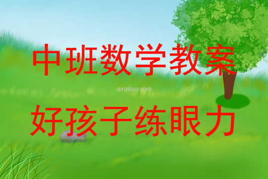 中班數學活動好孩子練眼力教案反思