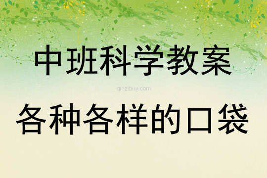 中班科學各種各樣的口袋教案反思