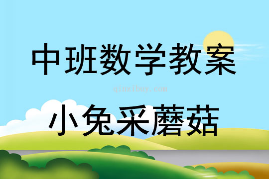 中班數(shù)學(xué)活動(dòng)小兔采蘑菇教案反思