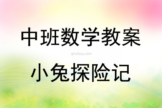 中班數學活動小兔探險記教案反思