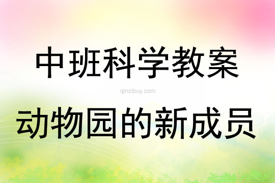 中班科學動物園的新成員教案反思
