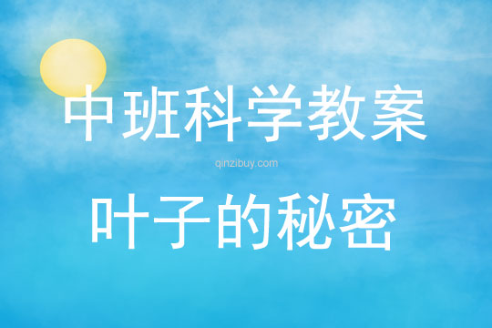 中班科學葉子的秘密教案反思