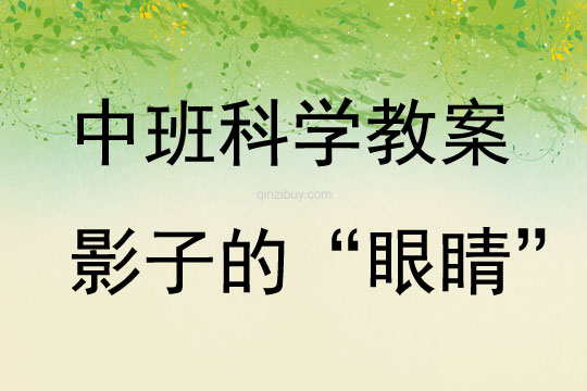 中班科學影子的“眼睛”教案反思