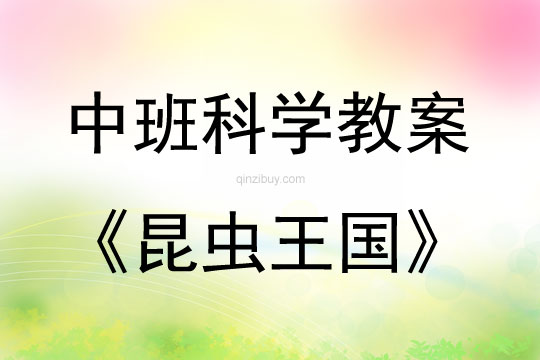 中班科學(xué)活動(dòng)教案：昆蟲(chóng)王國(guó)教案(附教學(xué)反思)