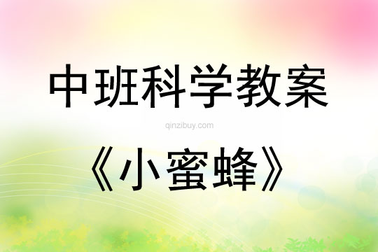 中班科學(xué)活動(dòng)教案：小蜜蜂教案