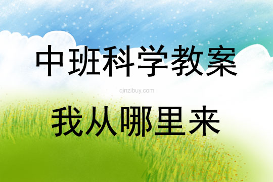 中班科學活動教案：我從哪里來教案