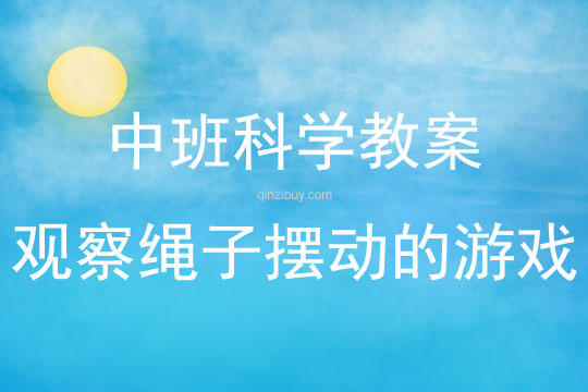 中班科學活動觀察繩子擺動的游戲教案反思