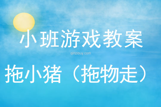 小班體育游戲活動(dòng)拖小豬（拖物走）教案反思