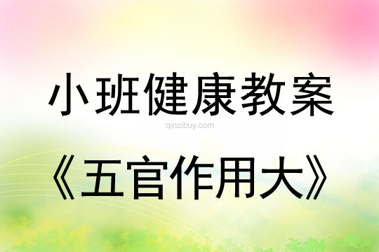 小班健康活動教案：五官作用大教案(附教學反思)