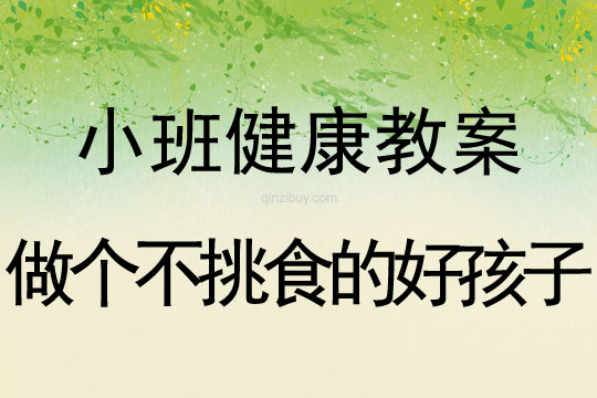 小班健康活動教案：做個不挑食的好孩子教案(附教學反思)