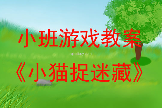 幼兒園小班游戲優(yōu)質(zhì)課：小貓捉迷藏小班游戲優(yōu)質(zhì)課：小貓捉迷藏