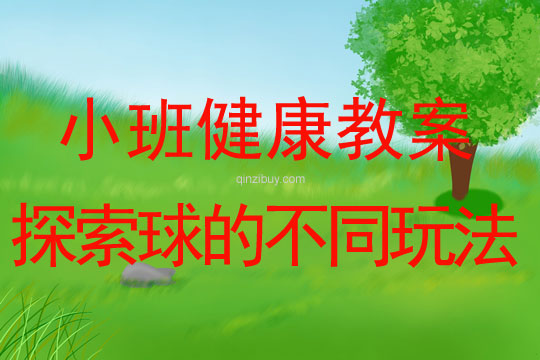 小班健康活動探索球的不同玩法教案反思