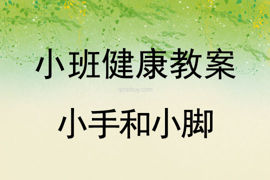小班健康活動教案：小手和小腳教案(附教學反思)