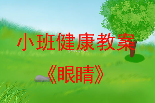 小班健康活動教案：眼睛教案