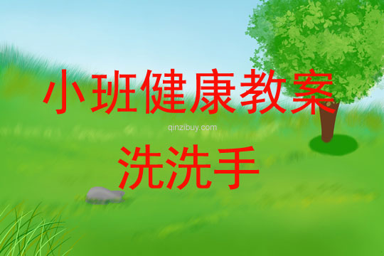 小班健康活動洗洗手教案反思