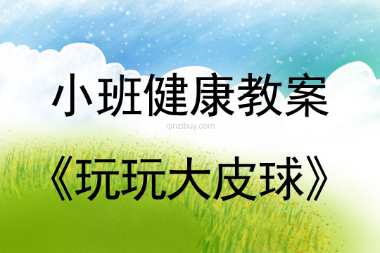 小班健康活動玩玩大皮球教案反思