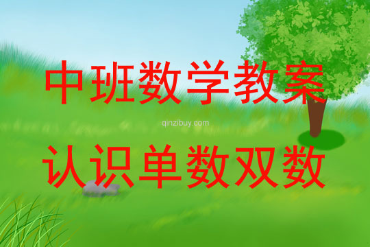 中班數學認識單數雙數教案反思
