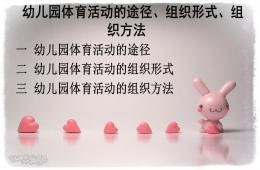 幼兒園體育活動的途徑、組織形式、組織方法的PPT課件