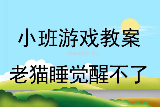 小班體育游戲活動老貓睡覺醒不了教案反思