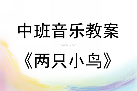 中班音樂兩只小鳥教案反思