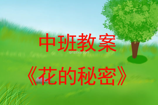 中班春天綜合教案:花的秘密中班春天綜合教案:花的秘密