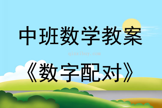 中班數(shù)學(xué)活動(dòng)教案：數(shù)字配對(duì)教案
