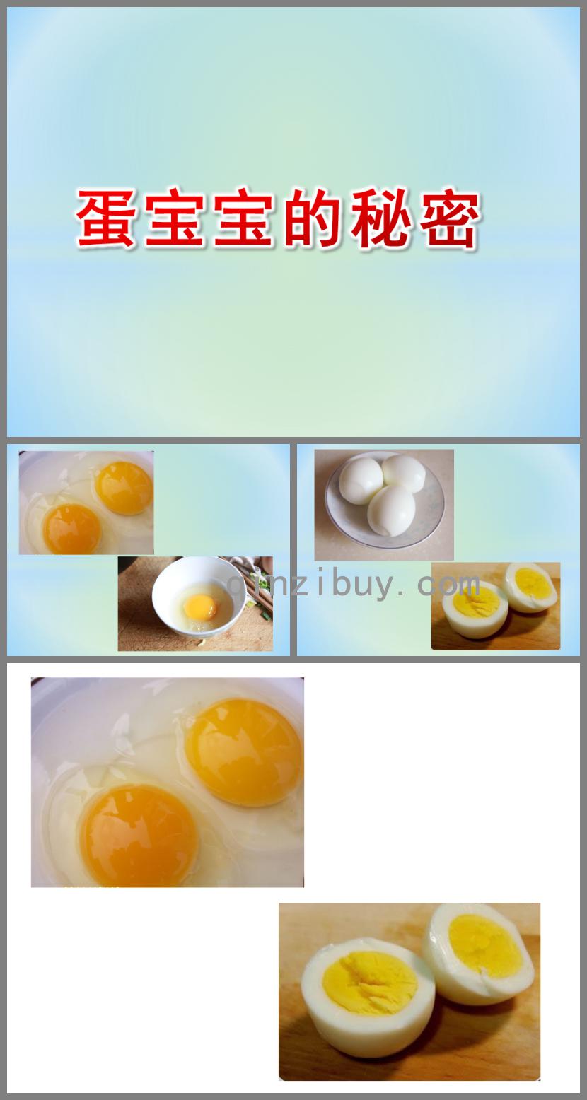 中班科學蛋寶寶的秘密PPT課件