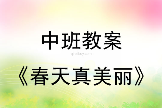 幼兒園中班教案：春天的秘密幼兒園中班教案：春天的秘密