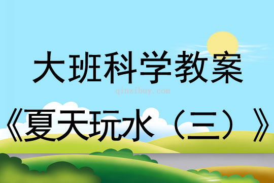 大班科學：夏天玩水（三）大班科學教案：夏天玩水（三）