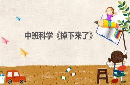 中班科學(xué)掉下來了PPT課件