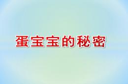 中班科學蛋寶寶的秘密PPT課件