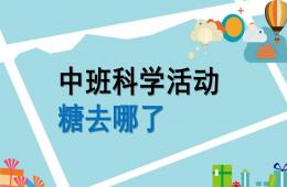 中班科學(xué)糖去哪兒了PPT課件