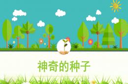 中班科學(xué)神奇的種子PPT課件