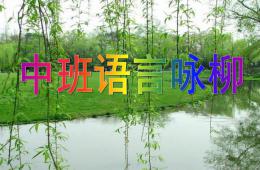 中班語言古詩詠柳PPT課件