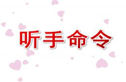 中班社會(huì)活動(dòng)聽(tīng)手命令PPT課件