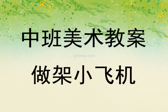 中班美術活動做架小飛機教案反思