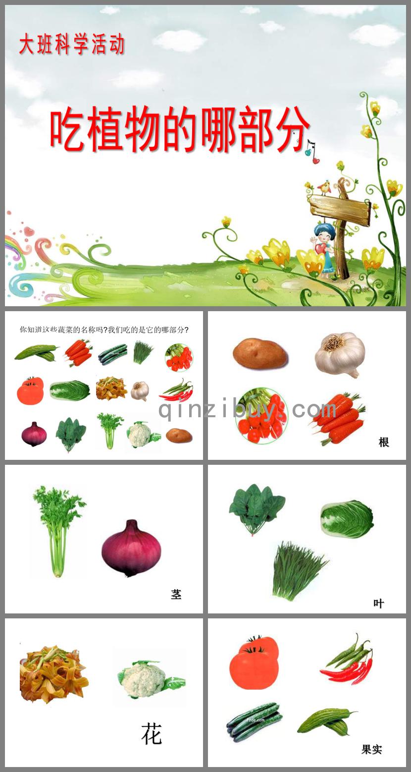 大班科學教研吃植物的哪部分PPT課件