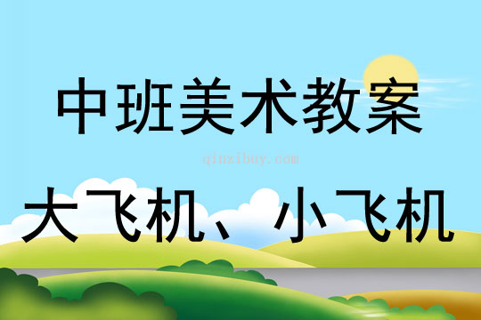 中班美術(shù)活動(dòng)大飛機(jī)、小飛機(jī)教案反思