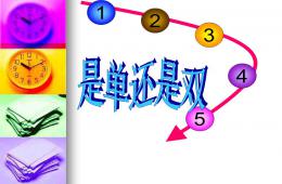 大班數學是單還是雙PPT課件