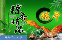 大班社會端午節小知識PPT課件