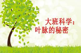 大班科學公開課葉脈的秘密PPT課件