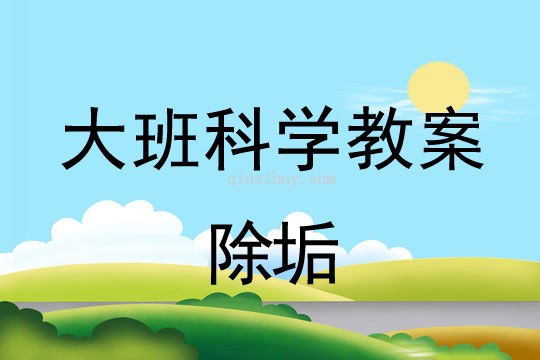 幼兒園大班科學教案：除垢大班科學教案：除垢