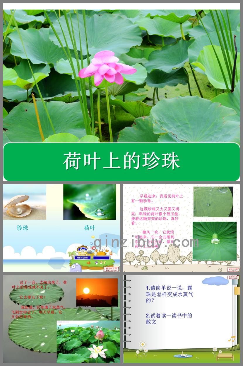 大班語(yǔ)言荷葉上的珍珠PPT課件