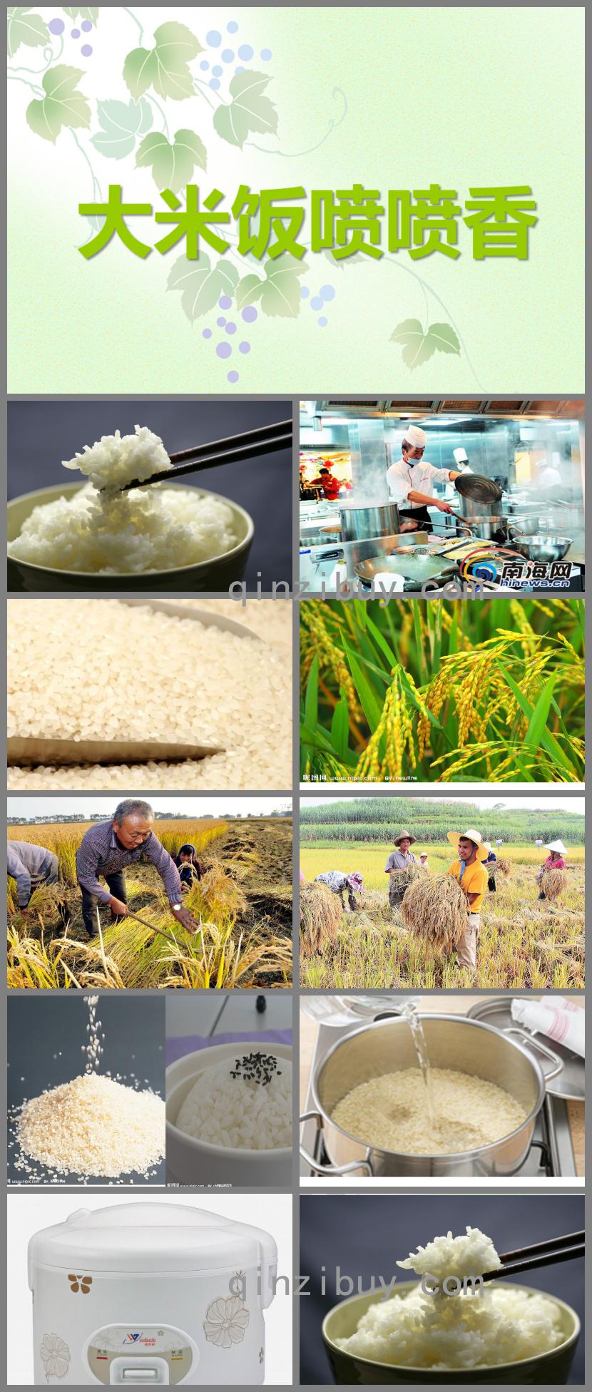 小班科學大米飯噴噴香PPT課件