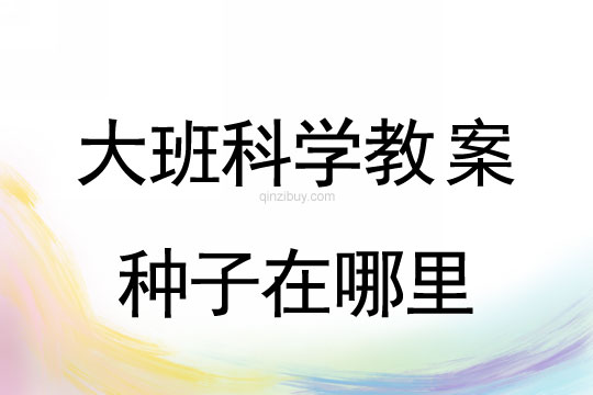 大班科學教案：種子在哪里大班科學教案：種子在哪里