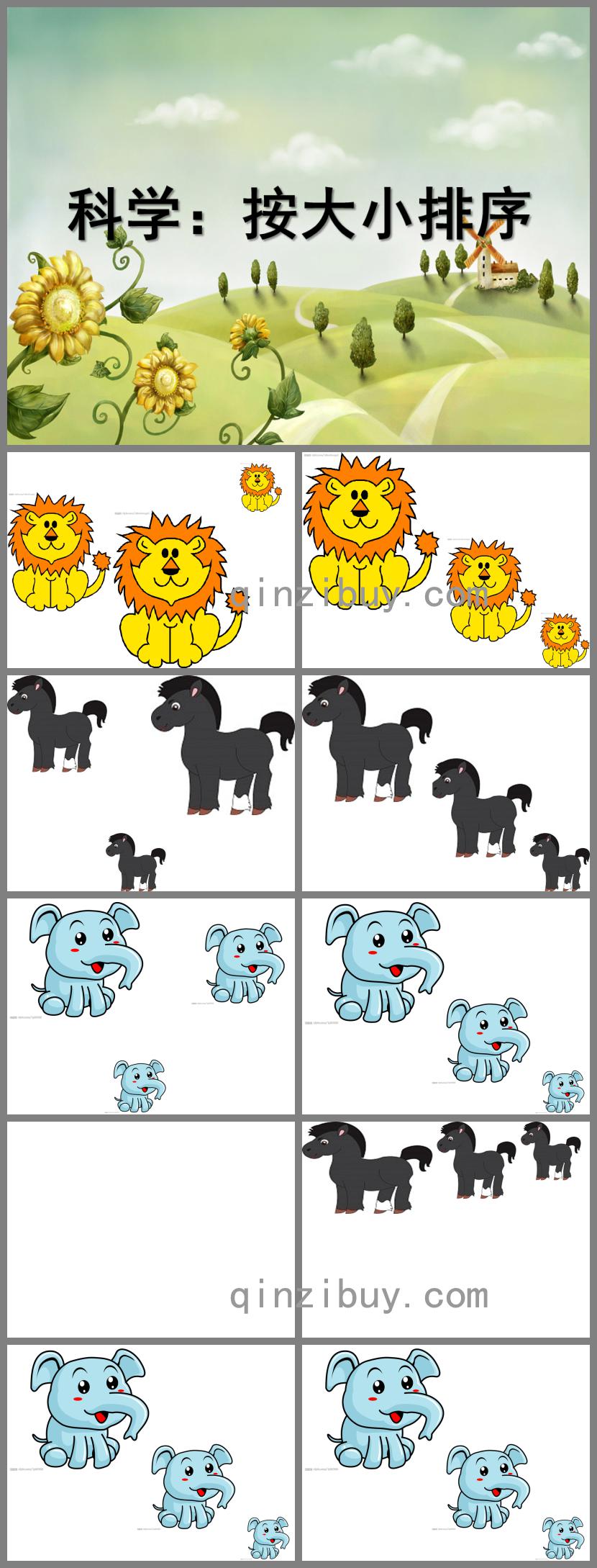 小班科學(xué)按大小排序PPT課件