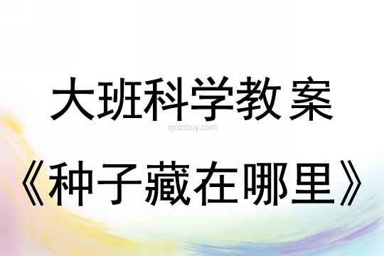 大班科學教案：種子藏在哪里大班科學教案：種子藏在哪里