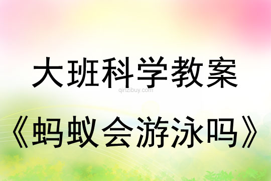 幼兒園大班科學教案： 螞蟻會游泳嗎大班科學教案：螞蟻會游泳嗎