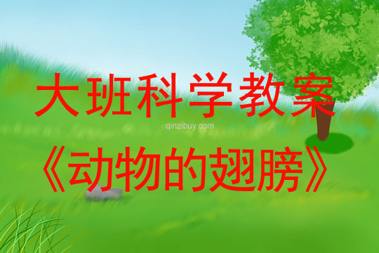 大班科學(xué)：動(dòng)物的翅膀大班科學(xué)教案：動(dòng)物的翅膀